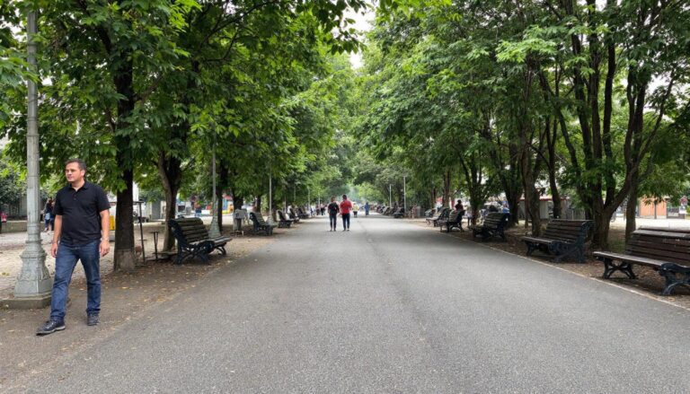 What expert gardeners do the night before a hard freeze ?